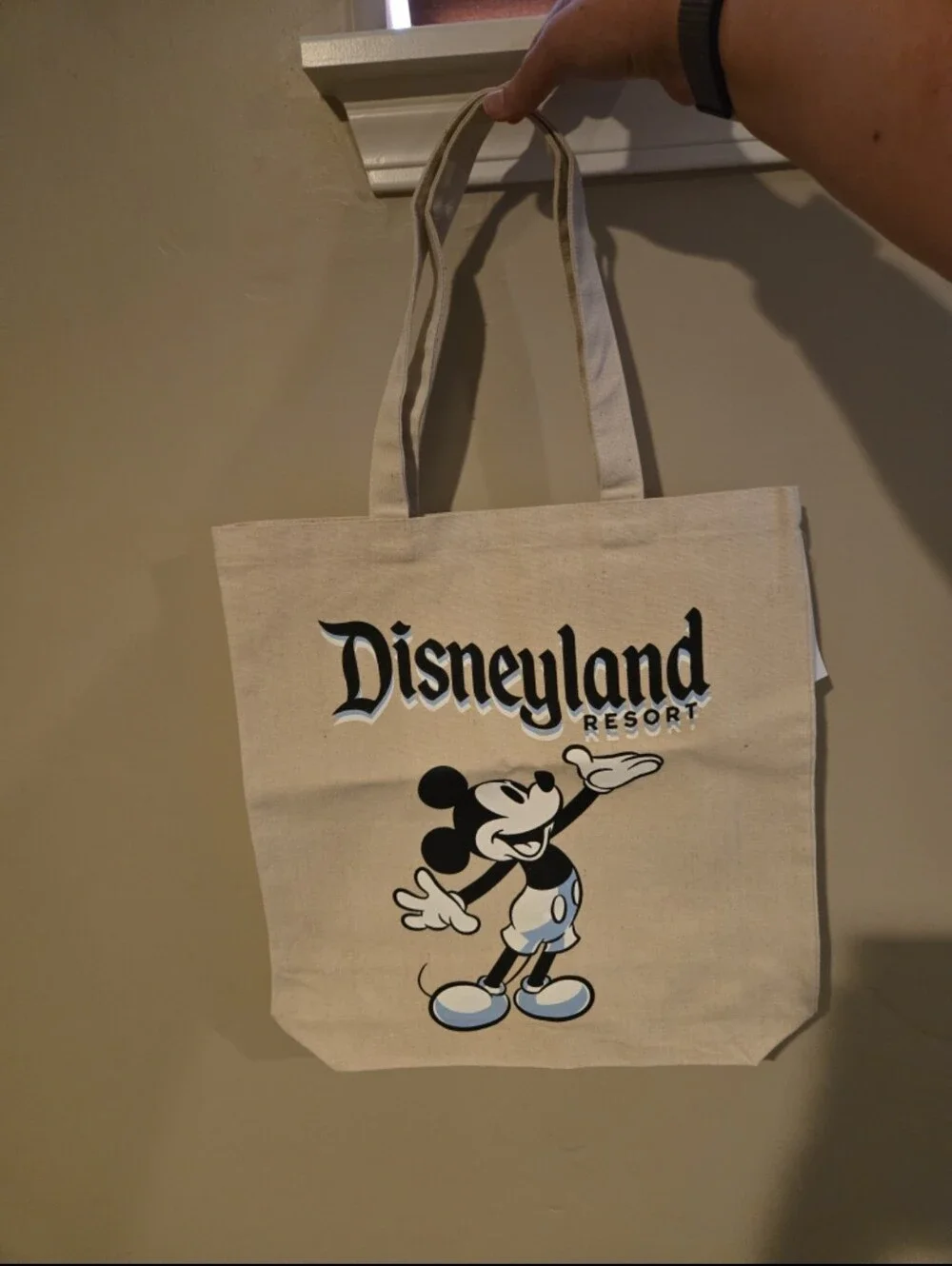Disney Beige Canvas Disneyland Resort Mickey Tote Bag